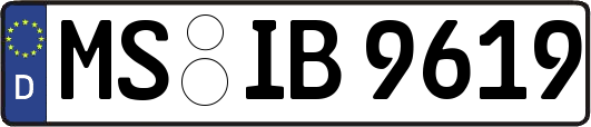 MS-IB9619