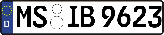 MS-IB9623