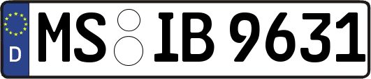 MS-IB9631