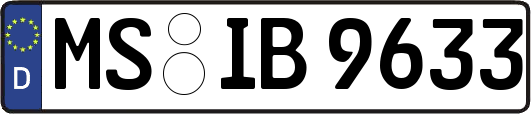 MS-IB9633
