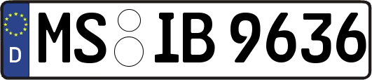 MS-IB9636
