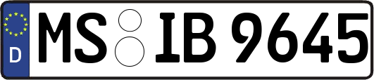 MS-IB9645
