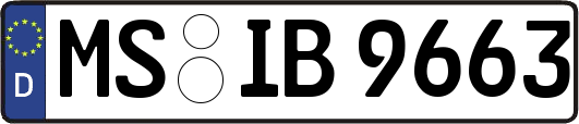 MS-IB9663