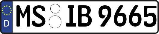MS-IB9665