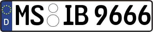 MS-IB9666