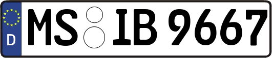 MS-IB9667