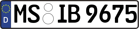MS-IB9675