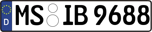 MS-IB9688