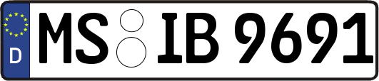 MS-IB9691