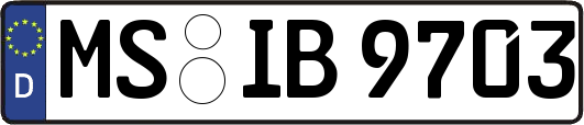 MS-IB9703