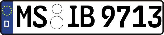 MS-IB9713