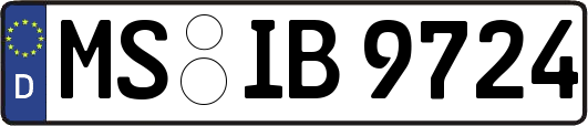 MS-IB9724
