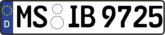 MS-IB9725