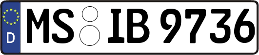 MS-IB9736