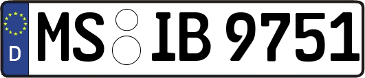 MS-IB9751