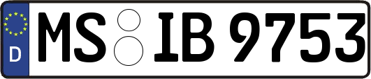 MS-IB9753