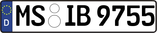 MS-IB9755