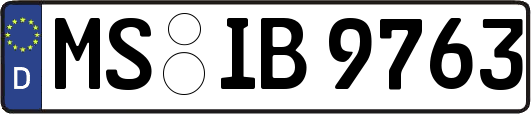 MS-IB9763
