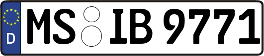 MS-IB9771