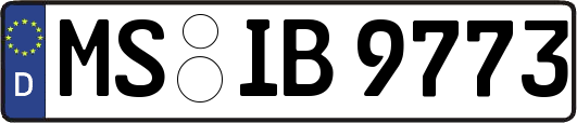 MS-IB9773