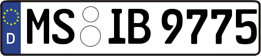 MS-IB9775