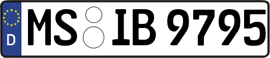 MS-IB9795