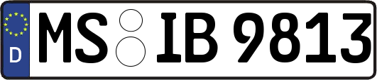 MS-IB9813