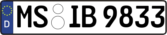 MS-IB9833