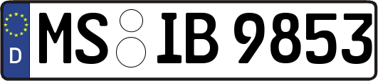 MS-IB9853