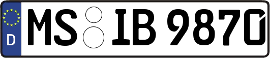 MS-IB9870