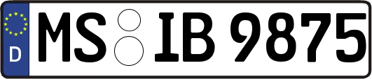 MS-IB9875