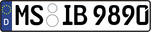 MS-IB9890