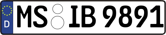 MS-IB9891