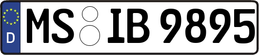 MS-IB9895