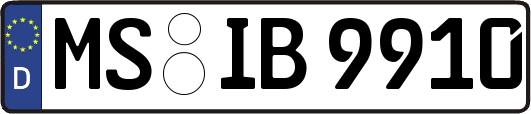MS-IB9910