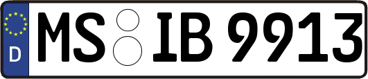 MS-IB9913