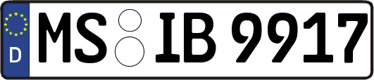MS-IB9917
