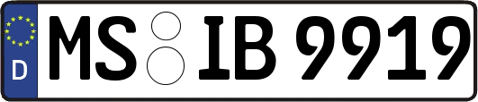 MS-IB9919