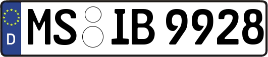 MS-IB9928