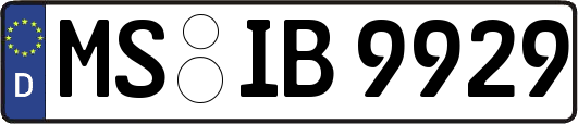 MS-IB9929