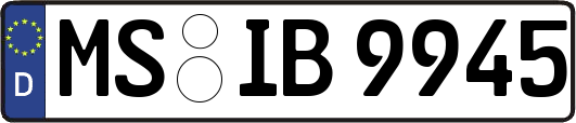 MS-IB9945
