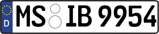 MS-IB9954