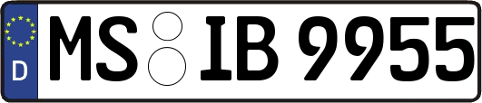 MS-IB9955