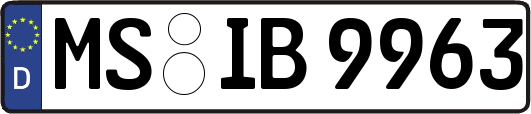 MS-IB9963