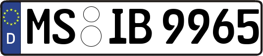 MS-IB9965