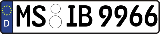 MS-IB9966