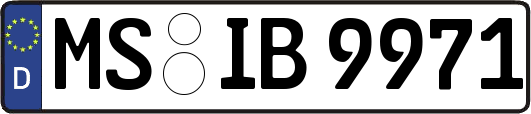 MS-IB9971