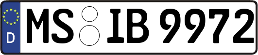 MS-IB9972
