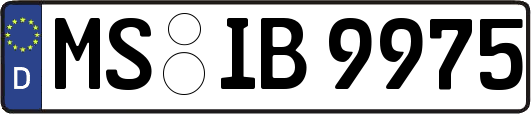 MS-IB9975