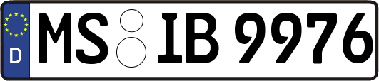 MS-IB9976
